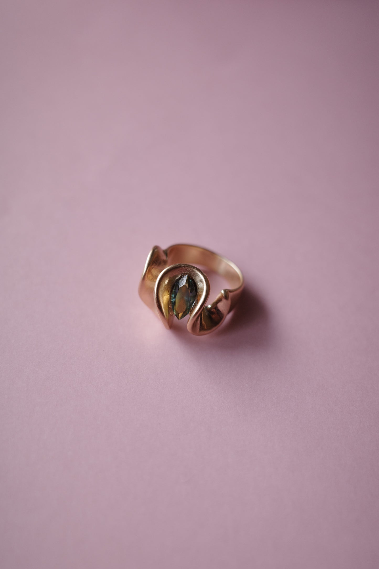 [2点]穂波(フロスティオータムヴィトレイル)