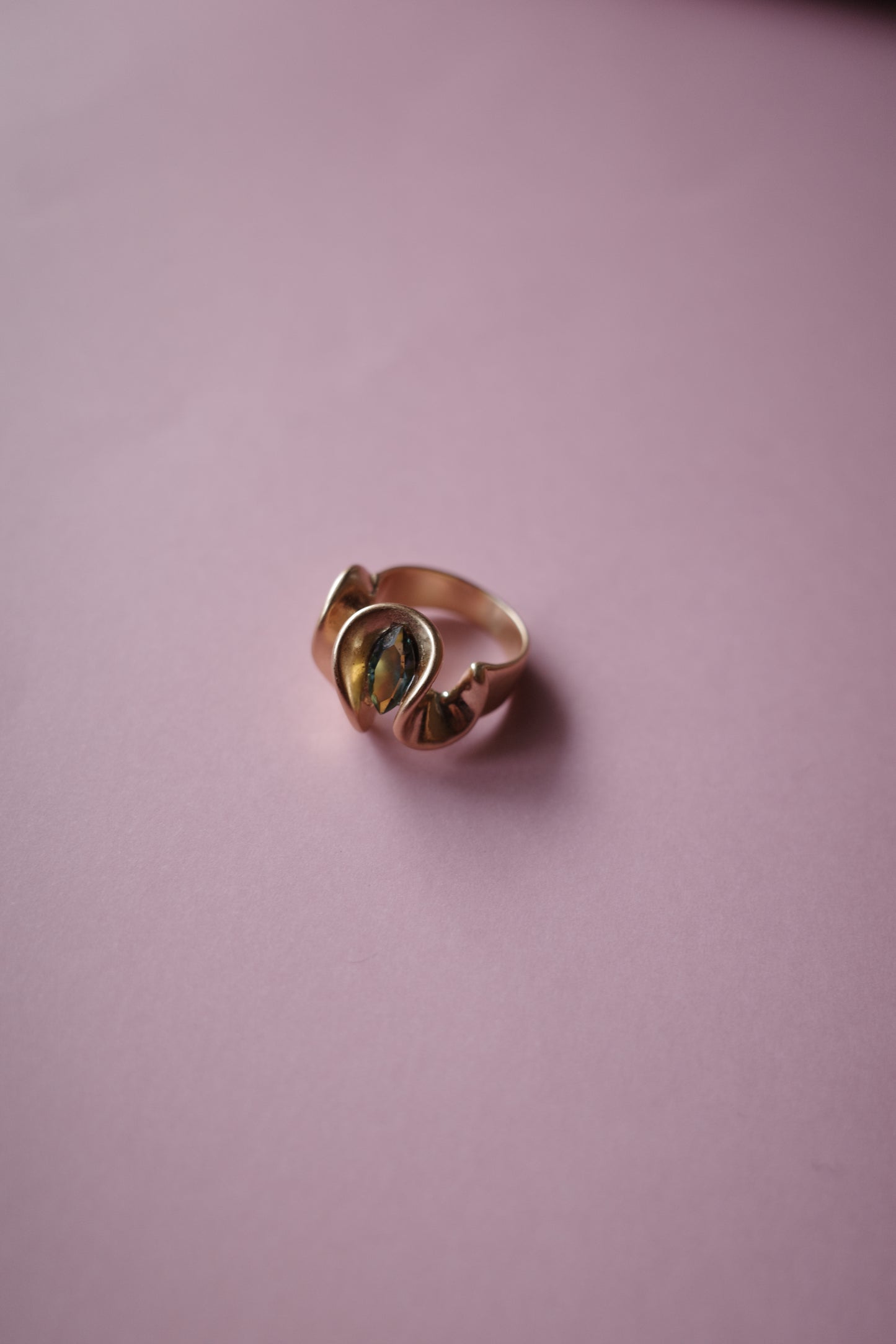 [2点]穂波(フロスティオータムヴィトレイル)