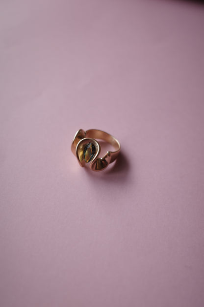 [2点]穂波(フロスティオータムヴィトレイル)