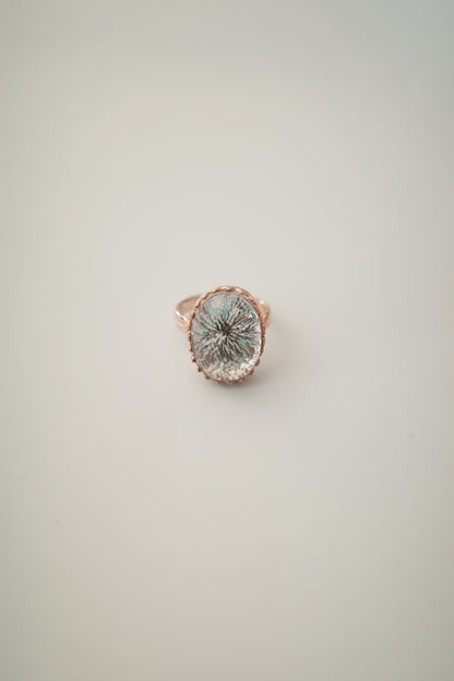 [1点ずつ]冬水面