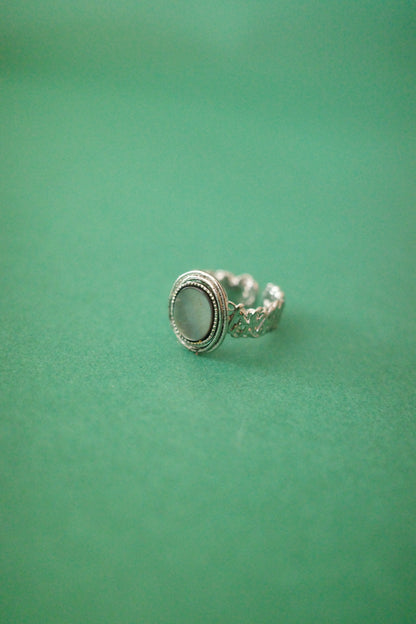 冬鏡ピアス/イヤリング