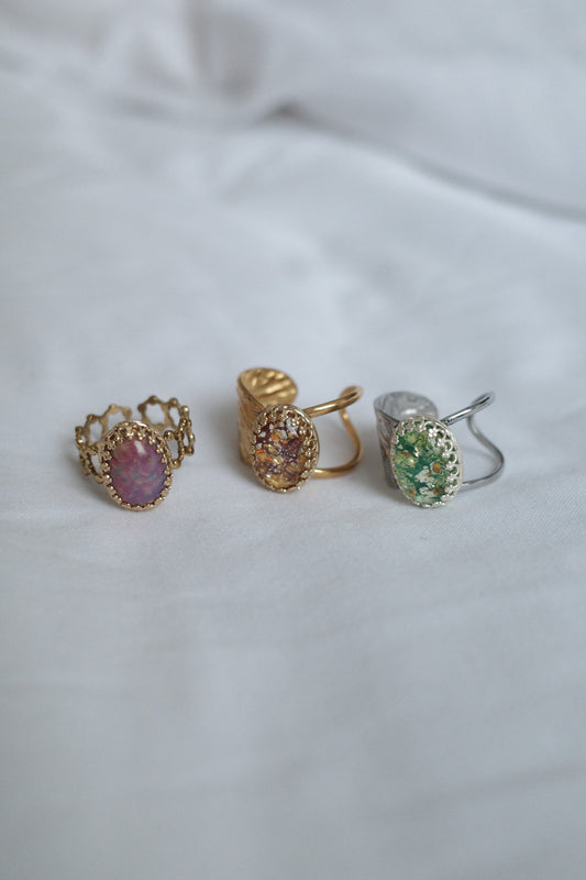 秋爛 ring