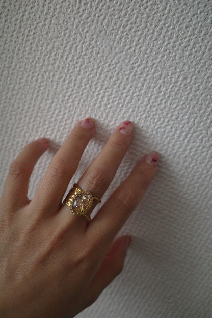 秋爛 ring